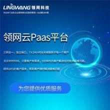 广东尚通科技发展股份有限公司 信息技术开发的领航者