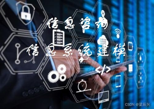 信息系统建模与分析 驱动电子商务技术开发的关键引擎